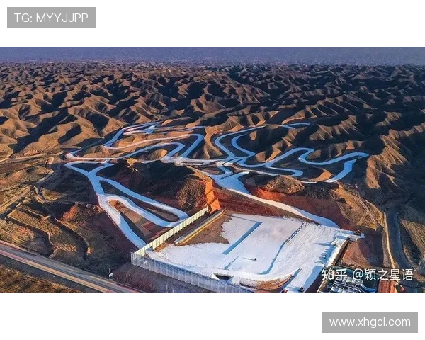 城市马拉松点评：杭州攀岩队在比赛中的经验与表现分析